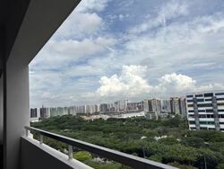 Blk 769 Pasir Ris Street 71 (Pasir Ris), HDB 4 Rooms #558133611